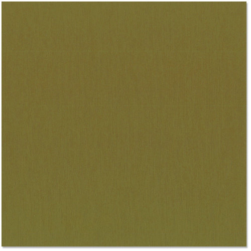 Bazzill - 12 x 12 Cardstock - Grasscloth Texture - Palo Verde
