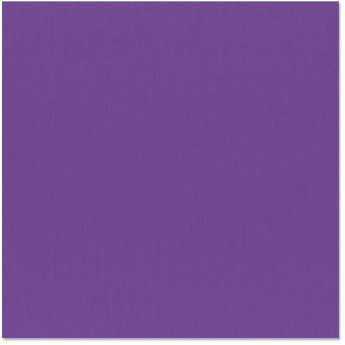 Bazzill Basics - 12 x 12 Cardstock - Canvas Texture - Purple