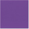 Bazzill Basics - 12 x 12 Cardstock - Canvas Texture - Purple