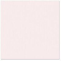 Bazzill Basics - 12 x 12 Cardstock - Canvas Texture - Morning Glory, CLEARANCE
