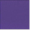 Bazzill - 12 x 12 Cardstock - Grasscloth Texture - Concord Grape