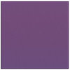 Bazzill Basics - 12 x 12 Cardstock - Smooth Texture - Boysenberry Delight