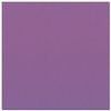 Bazzill Basics - 12 x 12 Cardstock - Smooth Texture - Grape Delight
