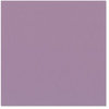 Bazzill Basics - 12 x 12 Cardstock - Canvas Texture - Brisbane, CLEARANCE