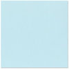 Bazzill Basics - 12 x 12 Cardstock - Canvas Texture - Starmist
