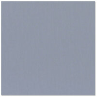 Bazzill - 12 x 12 Cardstock - Canvas Texture - Steel Blue