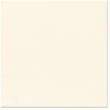 Bazzill Basics - 12 x 12 Cardstock - Grasscloth Texture - French Vanilla