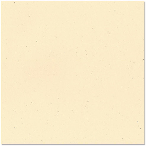 Bazzill Basics - 12 x 12 Cardstock - Classic Texture - Sawdust