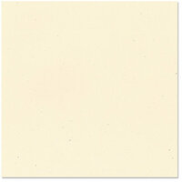 Bazzill - 12 x 12 Cardstock - Classic Texture - Straw