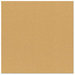 Bazzill Basics - 12 x 12 Cardstock - Classic Texture - Beach