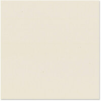 Bazzill - 12 x 12 Cardstock - Orange Peel Texture - Wheat