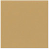 Bazzill - 12 x 12 Cardstock - Orange Peel Texture - Tanner