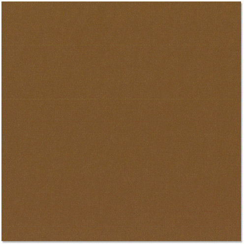 Bazzill Basics - 12 x 12 Cardstock - Canvas Texture - Chocolate
