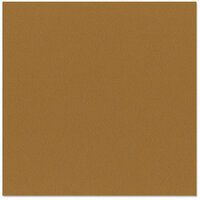 Bazzill - 12 x 12 Cardstock - Orange Peel Texture - Java