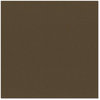 Bazzill - 12 x 12 Cardstock - Orange Peel Texture - Espresso