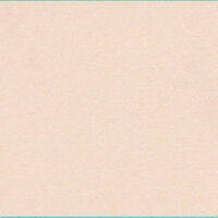 Bazzill Basics - Bulk Cardstock Pack - 25 Sheets - 12x12 - Twig, CLEARANCE