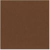 Bazzill - 12 x 12 Cardstock - Canvas Texture - Nutmeg