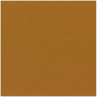 Bazzill Basics - 12 x 12 Cardstock - Canvas Texture - Vienna