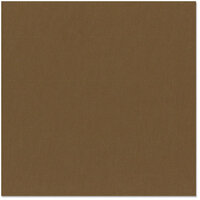 Bazzill Basics - 12 x 12 Cardstock - Canvas Texture - Bark