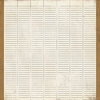 BasicGrey - Basic Manila Collection - 12 x 12 Paper - Brief, CLEARANCE