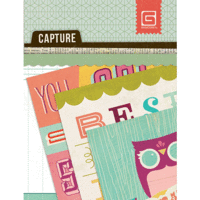 BasicGrey - Capture Collection - Journaling Cards - Mini Snippets - RSVP