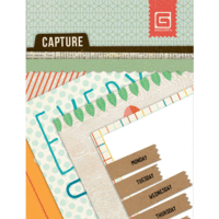 BasicGrey - Capture Collection - Journaling Cards - Mini Snippets