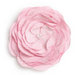 BasicGrey - Notions Collection - Fabric Flowers - Delicious Blossom - Carnation