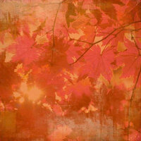 BasicGrey - Indian Summer Collection - 12 x 12 Paper - Aspen