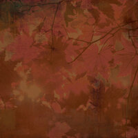 BasicGrey - Indian Summer Collection - 12 x 12 Paper - Dogwood, CLEARANCE