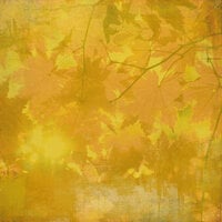 BasicGrey - Indian Summer Collection - 12 x 12 Paper - Maize, CLEARANCE
