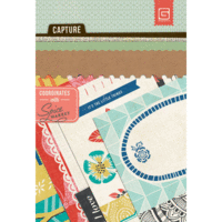 BasicGrey - Spice Market Collection - Journaling Cards - Snippets