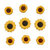 Buttons Galore - Embellishments - Sunflowers
