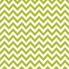 Bella Blvd - Color Chaos Collection - Clear Cuts - 12 x 12 Transparency - Chevies Pickle Juice