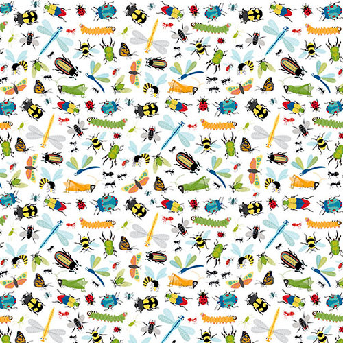 Bella Blvd - Bug Explorer Collection - 12 x 12 Double Sided Paper - Wiggle Wiggle