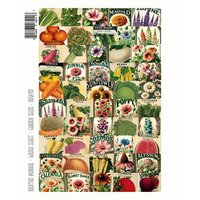 Brutus Monroe - Rooted In Kindness Collection - Washi Sheets - Garden Seeds