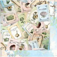 Bo Bunny - Country Garden Collection - 12 x 12 Double Sided Paper - Seeds