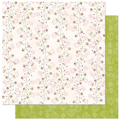 Bo Bunny Press - Love Bandit Collection - 12 x 12 Double Sided Paper - Love Bandit Nuts 4 U, CLEARANCE