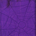Bo Bunny Press - Fright Night Collection - 12x12 Paper - Spider Web