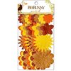 Bo Bunny Press - Apple Cider Collection - Flower Embellishments - Petals