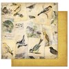 Bo Bunny - Trail Mix Collection - 12 x 12 Double Sided Paper - Bird Watching