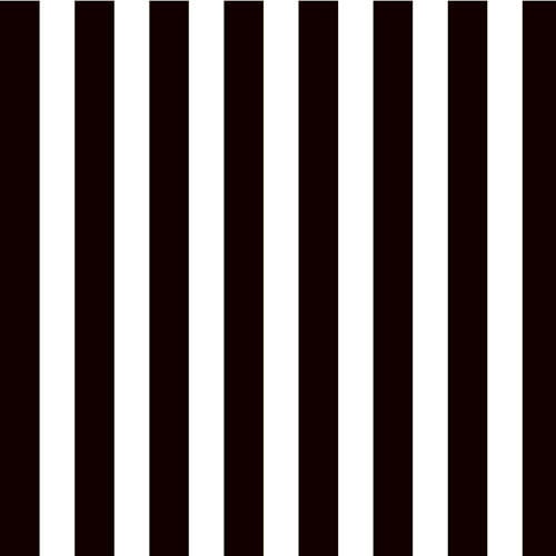 Canvas Corp - Black and White Collection - 12 x 12 Paper - Big Stripe