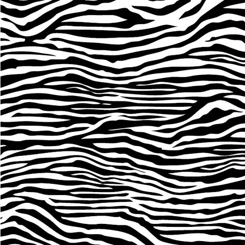 Canvas Corp - Black and White Collection - 12 x 12 Paper - Zebra