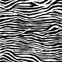 Canvas Corp - Black and White Collection - 12 x 12 Paper - Zebra