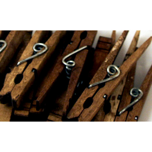 Canvas Corp - Decorative Clothespins - Jacobean