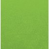 Carta Bella Paper - 12 x 12 Cardstock - Shimmer - Green Apple