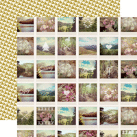 Carta Bella Paper - Wildflower Collection - 12 x 12 Double Sided Paper - Snapshots