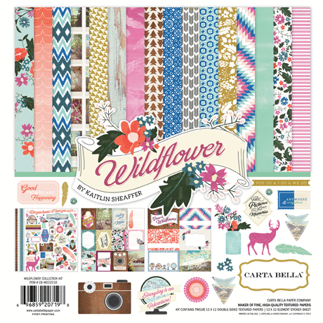 Carta Bella Paper - Wildflower Collection - 12 x 12 Collection Kit