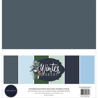 Carta Bella Paper - Winter Market Collection - 12 x 12 Paper Pack - Solids