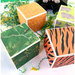 Carta Bella Paper - Zoo Adventure Collection - 12 x 12 Collection Kit