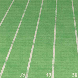 Carolee's Creations - Adornit - Football Collection - 12 x 12 Paper - Goal Line